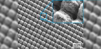 Eine sich mittels Laser selbstreinigende Oberfläche haben Wissenschaftler der TU Dresden und des Fraunhofer IWS entwickelt.